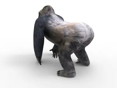 gorilla Rigged 3D Models game ready Low-poly 3D model