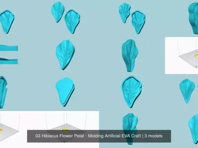 03 Hibiscus Flower Petal - Molding Artificial EVA Craft 3D Model Collection