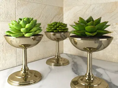Succulents three gold planters with on marble countertop 3D model