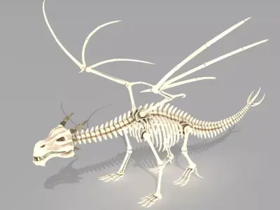 Dragon skeleton Low-poly 3D model
