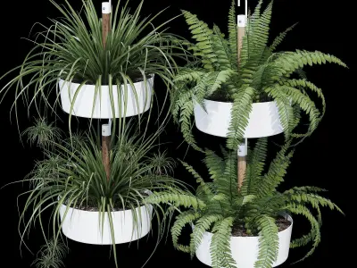 Bittergurka fern plants in hanging planter 3D model