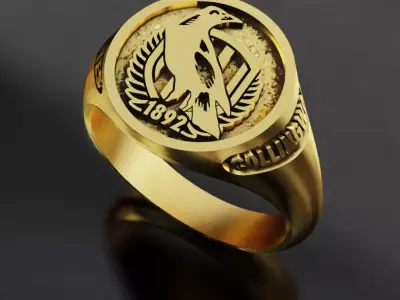 Magpies Collingwood Australia Football Fans 3D print model  3D print model