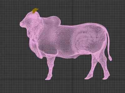 Cattle cow 3D model
