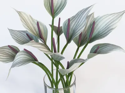 White elegent flowers in a glass vase 3D model