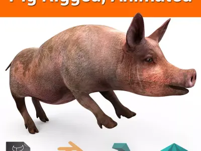 Pig Rigged  Animated 3D model Low-poly 3D model