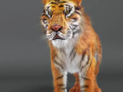 Rigged Tiger Upgraded v2 Low-poly 3D model