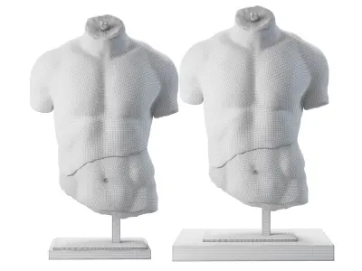 Discophoros Bust and Books Set 1 3D model