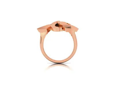 Women Ring 3D print model