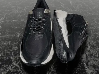 CRUYFF 3D SHOES Low-poly 3D model