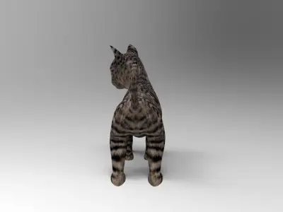 Black Cat Rigged Low-poly 3D model