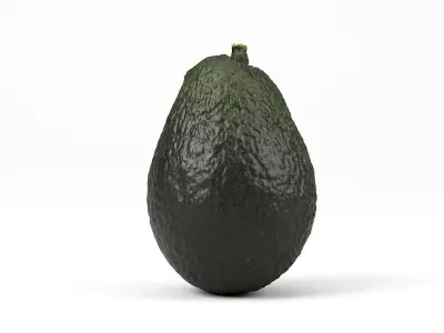 Photorealistic Avocado 3D Scan 3D model