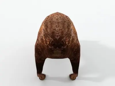 Dasyprocta punctata Low-poly 3D model