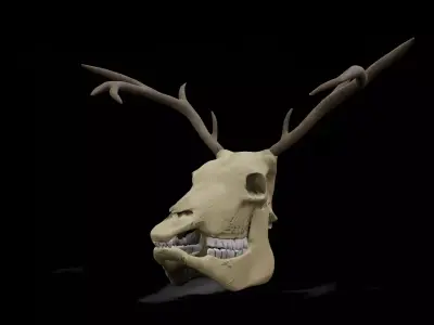 Deer low poly game ready skull Low-poly 3D model