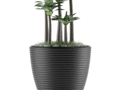 House Plant 19 3D model