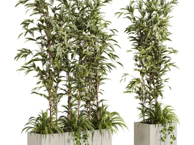 Plants Set 3D model order