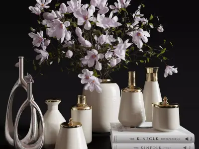 Decoration Set 30 Magnolia and Vases 3D model