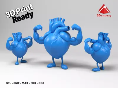 Strong heart 3D print model