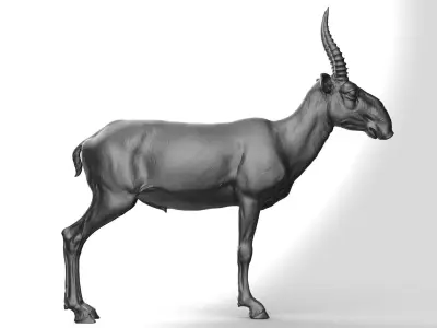 Saiga - TPose 3D model