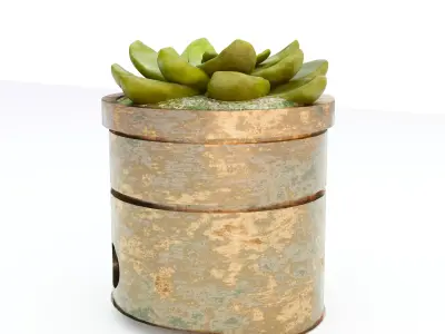 Rustic Steel Succulent Pot 3D model