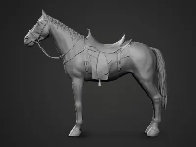 horse 3D model 22
