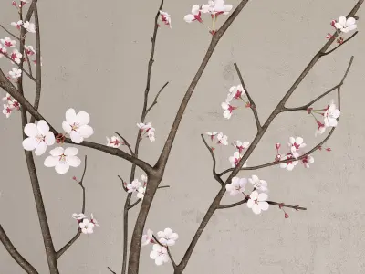 Cherry branches 3D model