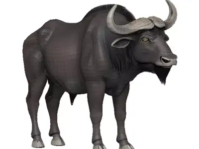 Buffalo Low-poly 3D model get