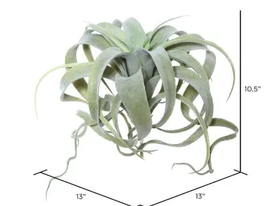 Artificial Tillandsia Pick Foliage Plant 3D model