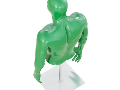Fitness mannequin torso 169 3D model
