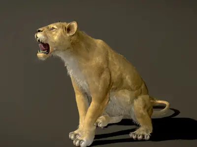 Lion Female 3D model