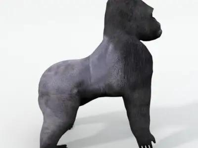 Gorila gorilla Low-poly 3D model