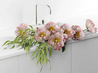 Peonies in sink 3D model
