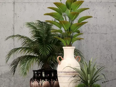 Plants collection 59 3D model