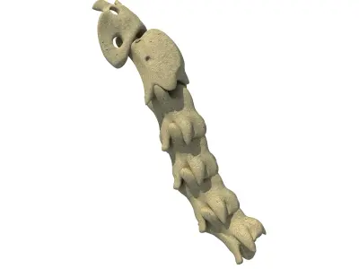 Animal Neck Cervicale 3D model