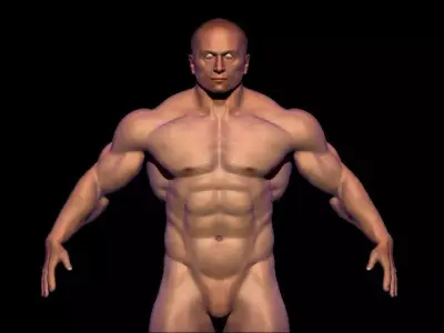 BODYBUILDER BSE MESH  Low-poly 3D model