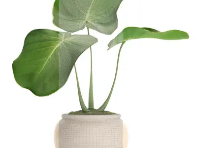 Tropical plant in pot 2 3D model