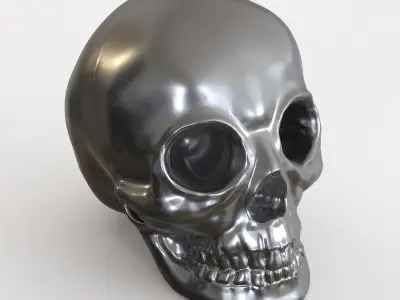 Skulls silver skull 3D model