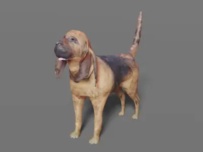 BLOODHOUND hound dog Low-poly 3D model