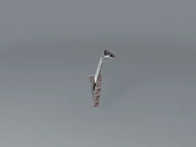 Jackson randy rhoads snakeskin guitar Free 3D model