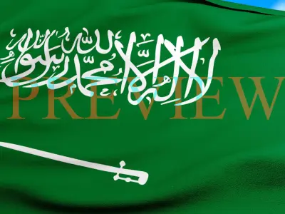 Animated Flag- Transitional Flag  3D model