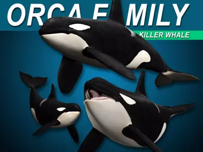 Orca Family - Killer Whales 3D model