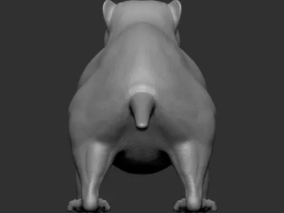 VFX Ready marmot 3d model 3D model