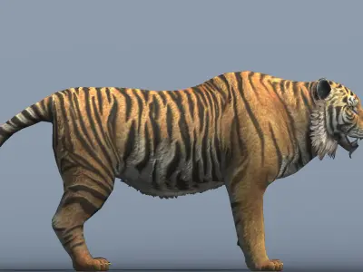 Lowpoly Tiger Rigged and Animated for VR AR Games Low-poly 3D model