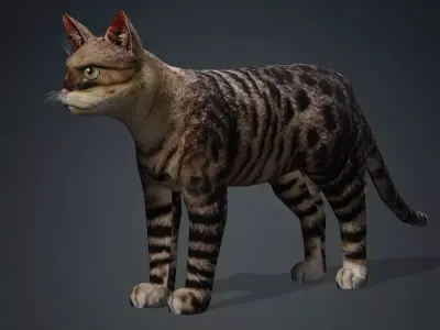 Animated Low poly Cat Low-poly 3D model