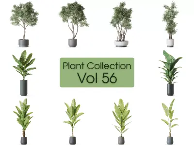 Plants collection vol 56