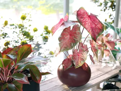 Maxtree Plant Models Vol 62 - Mesh 3D model