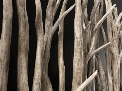 Planter wall branch crooked old n1 3D model