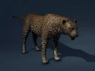 Leopard Game Ready Model Low-poly 3D model
