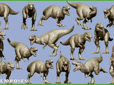 17 Tyrannosaurus t rex  poses 3D model