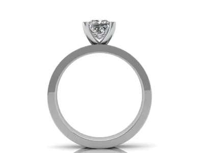 Ornament ring 3D print model