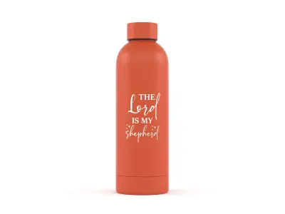 Water Bottle 3D model get